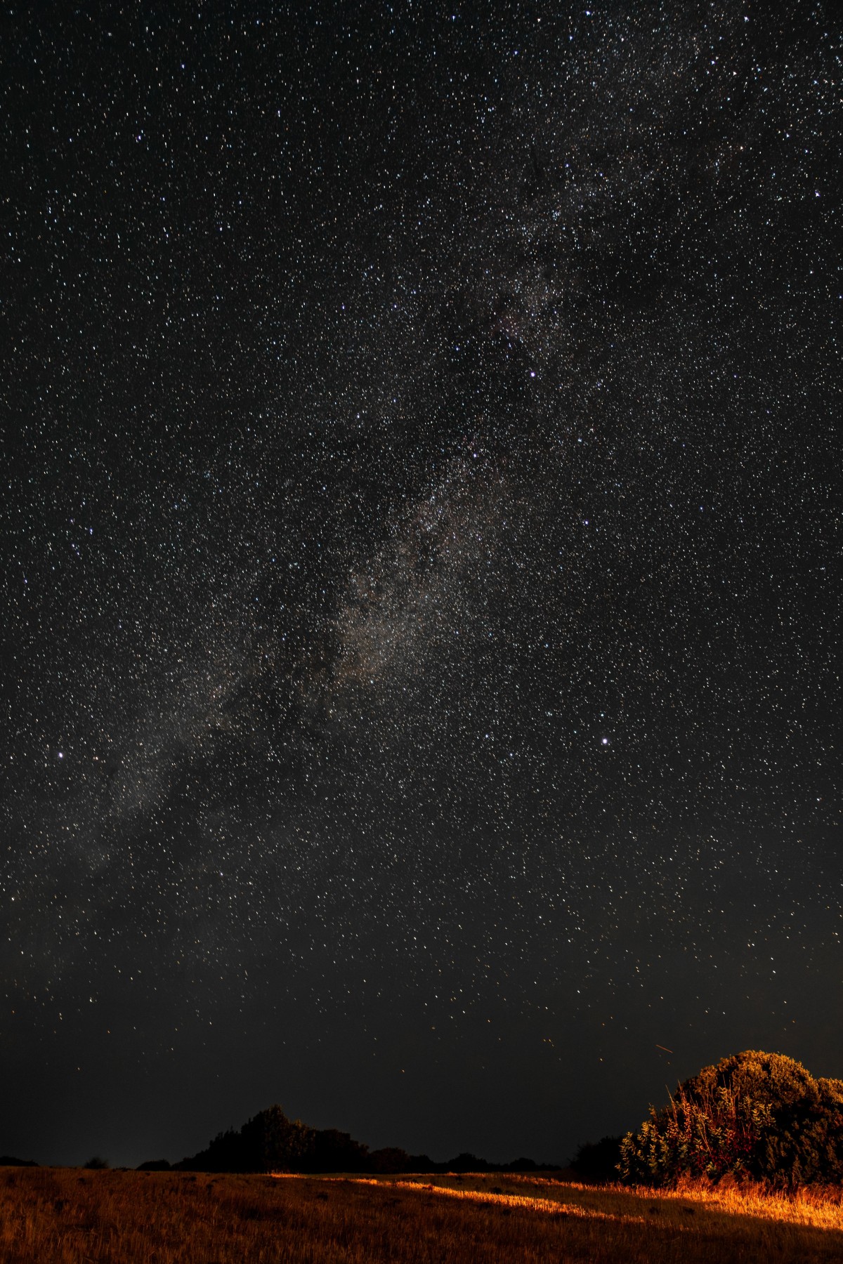 5K星空壁纸|当银河倾泻在金黄原野，每一颗星都在为大地低语-觅屏壁纸