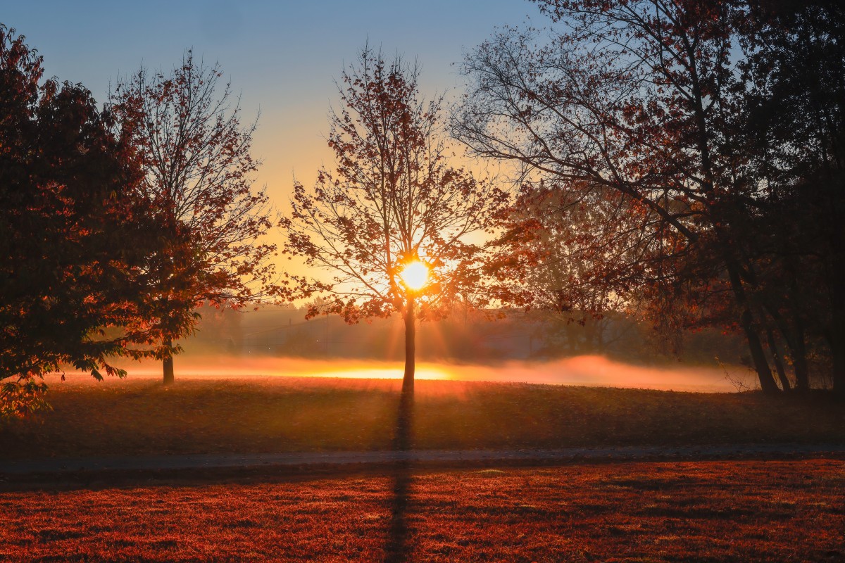 8K高清壁纸|秋日晨雾中的日出，每一缕光都是季节的温柔笔触-觅屏壁纸