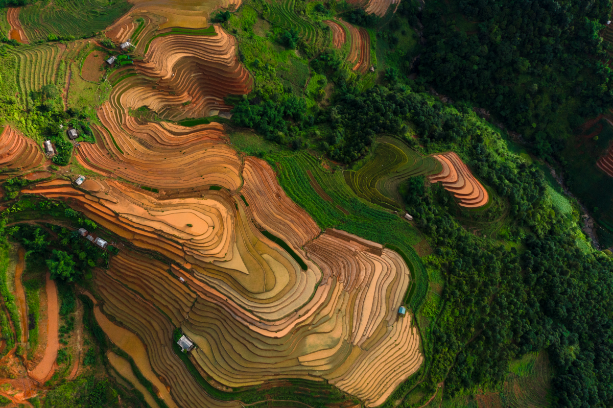 5K高清壁纸|高山梯田如大地的调色盘，用曲线与色彩绘就生命的乐章-觅屏壁纸
