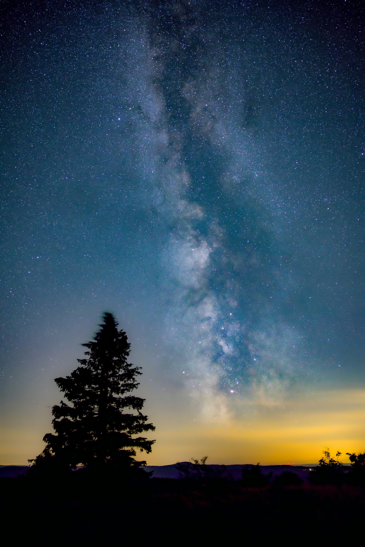 4K壁纸|孤松静立，仰望银河倾泻的璀璨星河-觅屏壁纸