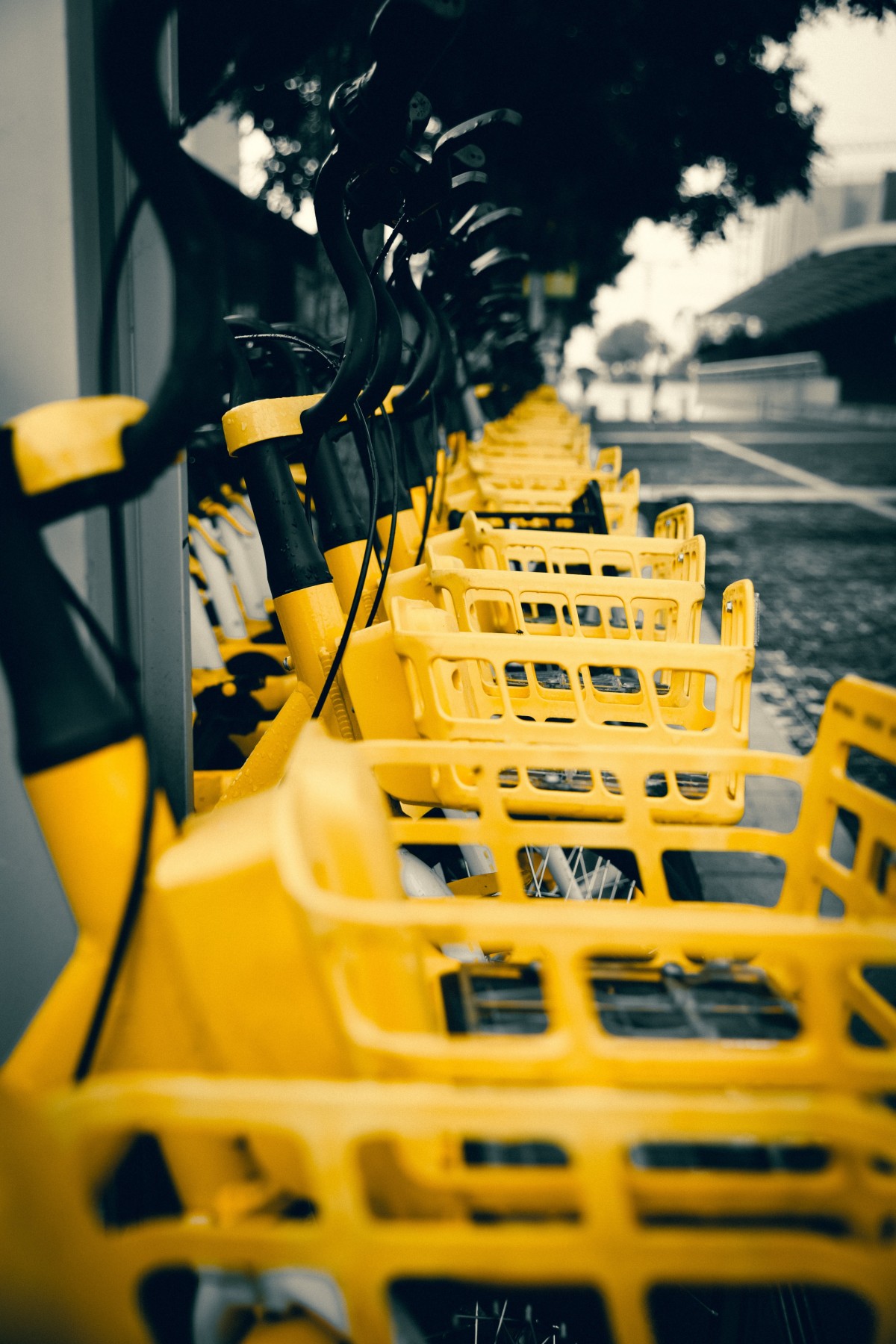 4K壁纸|当晨雾漫过街道，黄车在黑白的城市底色里，撞出一抹鲜活的色彩-觅屏壁纸