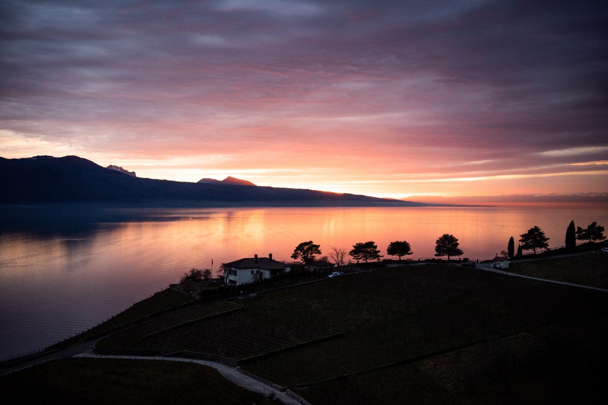 4K壁纸|湖山为屏，晨晖为纱，湖畔雅居在光影里，静候着新的一天-觅屏壁纸