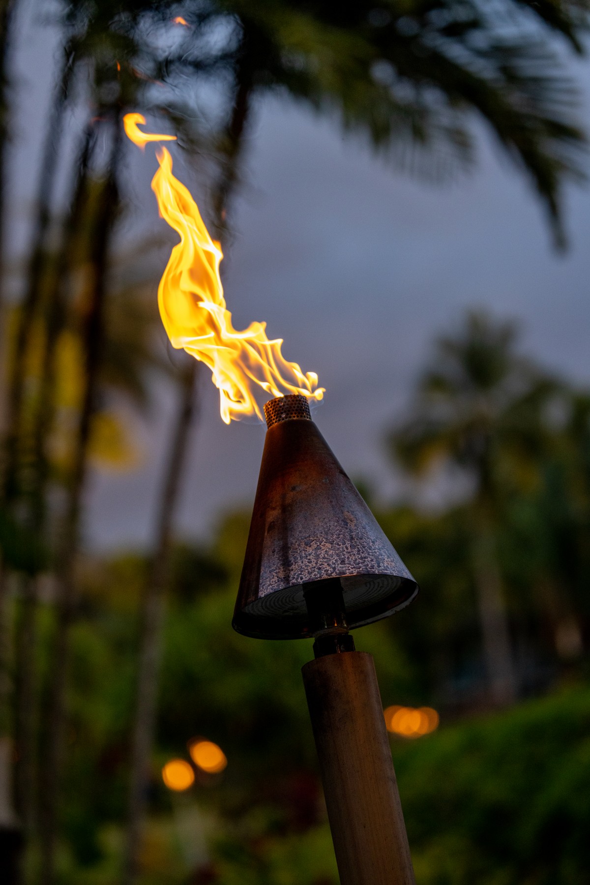 4K壁纸|椰影为幕，焰光为灯，是热带黄昏里，最治愈的视觉符号-觅屏壁纸