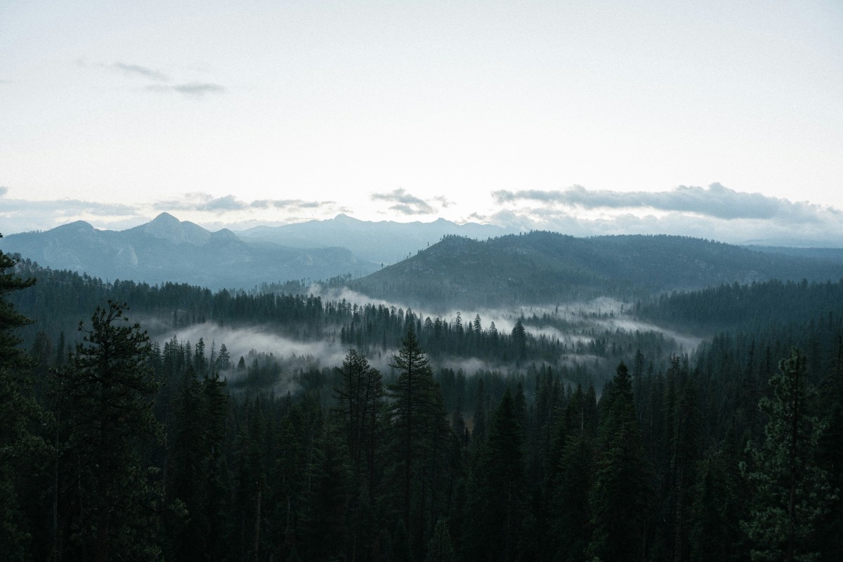 4K 高清晨雾森林远山航拍自然风景壁纸-觅屏壁纸