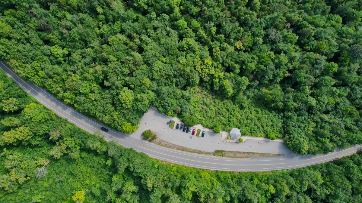 4K 超清森林治愈风壁纸｜绿林公路与茂密森林航拍高清桌面壁纸-觅屏壁纸