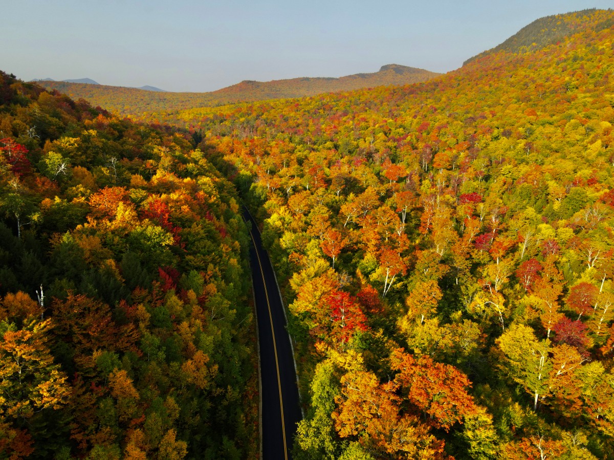 4K 超清金秋彩林风壁纸｜秋日彩林公路航拍高清桌面壁纸-觅屏壁纸