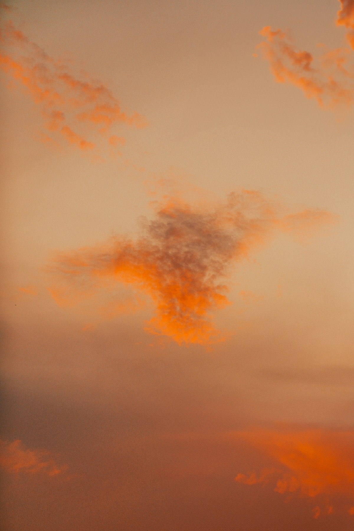 5K壁纸|晚霞把云揉成了一团火，在橘色的天空里慢慢舒展，温柔了整个黄昏-觅屏壁纸