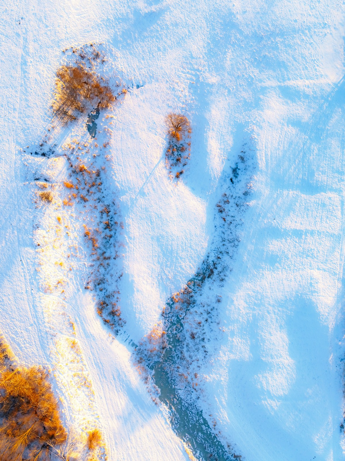 4K壁纸|冰封的大地、未冻的河流、染金的枯树，是冬日最治愈的色彩-觅屏壁纸